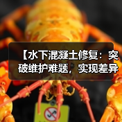 【水下混凝土修复：突破维护难题，实现差异化修补】（图4）