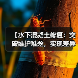 【水下混凝土修复：突破维护难题，实现差异化修补】（图3）