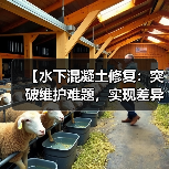 【水下混凝土修复：突破维护难题，实现差异化修补】