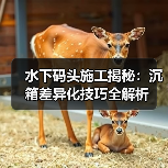 水下码头施工揭秘：沉箱差异化技巧全解析（图4）