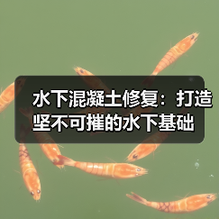 水下混凝土修复：打造坚不可摧的水下基础（图3）