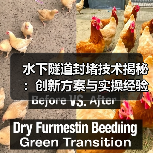 水下隧道封堵技术揭秘：创新方案与实操经验分享