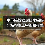 水下接缝密封技术揭秘：结构施工中的胶材差异化之路（图4）