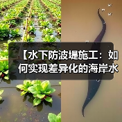 【水下防波堤施工：如何实现差异化的海岸水下工程？】（图2）