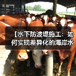 【水下防波堤施工：如何实现差异化的海岸水下工程？】（图3）