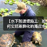 【水下防波堤施工：如何实现差异化的海岸水下工程？】