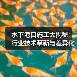 水下港口施工大揭秘：行业技术革新与差异化路径（图3）