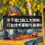 水下港口施工大揭秘：行业技术革新与差异化路径（图4）