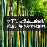 水下防波堤施工的创新策略：块体差异化的魅力
