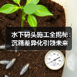 水下码头施工全揭秘：沉箱差异化引领未来