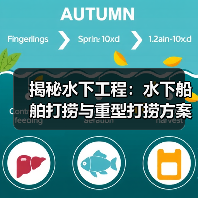 揭秘水下工程:水下船舶打捞与重型打捞方案差异化解析(图1) 揭秘水下工程:水下船舶打捞与重型打捞方案差异化解析(图1)