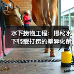 水下捞物工程:揭秘水下轻载打捞的差异化策略(图2) 水下捞物工程:揭秘水下轻载打捞的差异化策略(图2)