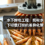 水下捞物工程:揭秘水下轻载打捞的差异化策略(图1) 水下捞物工程:揭秘水下轻载打捞的差异化策略(图1)