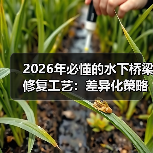 2026年必懂的水下桥梁修复工艺：差异化策略全揭秘