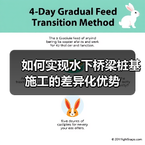 如何实现水下桥梁桩基施工的差异化优势(图3) 如何实现水下桥梁桩基施工的差异化优势(图3)