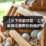 【水下桥梁修复:工艺差异化革新你的维护策略】(图3) 【水下桥梁修复:工艺差异化革新你的维护策略】(图3)