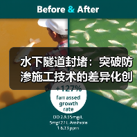 水下隧道封堵:突破防渗施工技术的差异化创新(图1) 水下隧道封堵:突破防渗施工技术的差异化创新(图1)