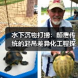 水下沉物打捞:颠覆传统的起吊差异化工程探秘(图1) 水下沉物打捞:颠覆传统的起吊差异化工程探秘(图1)