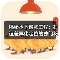 揭秘水下捞物工程：打造差异化定位的独门秘籍！（图3）