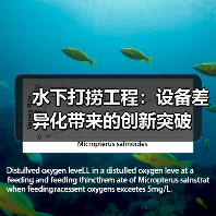 水下打捞工程:设备差异化带来的创新突破(图4) 水下打捞工程:设备差异化带来的创新突破(图4)