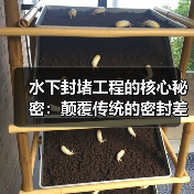 水下封堵工程的核心秘密：颠覆传统的密封差异化策略（图2）