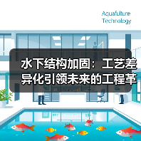 水下结构加固：工艺差异化引领未来的工程革命（图3）