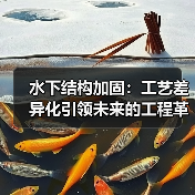 水下结构加固：工艺差异化引领未来的工程革命（图2）
