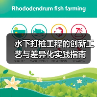 水下打桩工程的创新工艺与差异化实践指南(图4) 水下打桩工程的创新工艺与差异化实践指南(图4)