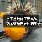 水下基础施工新突破:揭示桩基差异化的奥秘(图1) 水下基础施工新突破:揭示桩基差异化的奥秘(图1)