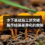 水下基础施工新突破:揭示桩基差异化的奥秘(图4) 水下基础施工新突破:揭示桩基差异化的奥秘(图4)