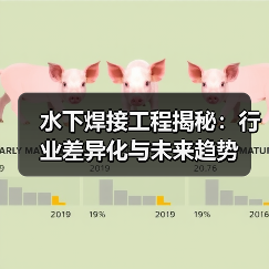 水下焊接工程揭秘:行业差异化与未来趋势(图1) 水下焊接工程揭秘:行业差异化与未来趋势(图1)