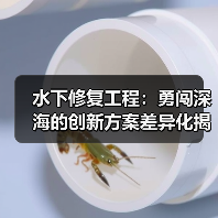 水下修复工程:勇闯深海的创新方案差异化揭秘(图4) 水下修复工程:勇闯深海的创新方案差异化揭秘(图4)