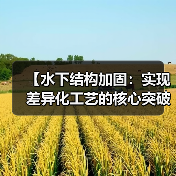 【水下结构加固：实现差异化工艺的核心突破】