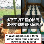 水下回填工程的秘密：如何实现差异化填料与精准施工（图3）