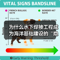 为什么水下焊接工程成为海洋基础建设的“隐形冠军”？雷达罩下的“秘密武器”——Underwater Welding，正在悄然改变着海底世界的格局。从海上油气平台到
