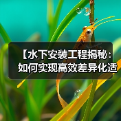 【水下安装工程揭秘:如何实现高效差异化适配】(图3) 【水下安装工程揭秘:如何实现高效差异化适配】(图3)