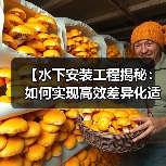 【水下安装工程揭秘:如何实现高效差异化适配】(图1) 【水下安装工程揭秘:如何实现高效差异化适配】(图1)