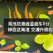 海沧疏港通道通车8分钟直达高速 交通升级如何改变出行效率？