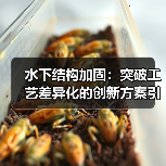 水下结构加固：突破工艺差异化的创新方案引领未来