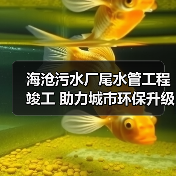海沧污水厂尾水管工程竣工 助力城市环保升级（图3）