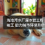 海沧污水厂尾水管工程竣工 助力城市环保升级（图2）