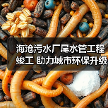 海沧污水厂尾水管工程竣工 助力城市环保升级