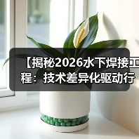 【揭秘2026水下焊接工程：技术差异化驱动行业变革】