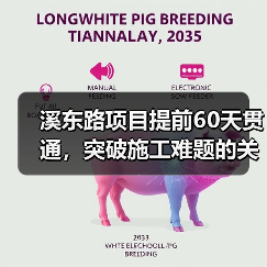 溪东路项目提前60天贯通，突破施工难题的关键策略（图2）