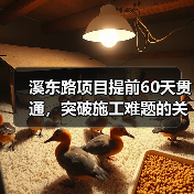 溪东路项目提前60天贯通，突破施工难题的关键策略（图4）