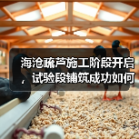 海沧疏芦施工阶段开启,试验段铺筑成功如何确保质量?(图1) 海沧疏芦施工阶段开启,试验段铺筑成功如何确保质量?(图1)
