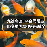 九绵高速LJ4合同段克服多重困难提前完成全部梁片预制任务(图2) 九绵高速LJ4合同段克服多重困难提前完成全部梁片预制任务(图2)