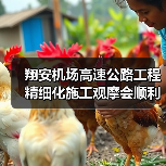 翔安机场高速公路工程精细化施工观摩会顺利召开(图2) 翔安机场高速公路工程精细化施工观摩会顺利召开(图2)