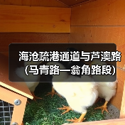海沧疏港通道与芦澳路(马青路—翁角路段)沥青路面及剩余附属工程项目经理部举行揭牌仪式(图3) 海沧疏港通道与芦澳路(马青路—翁角路段)沥青路面及剩余附属工程项目经理部举行揭牌仪式(图3)