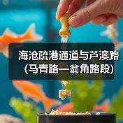 海沧疏港通道与芦澳路(马青路—翁角路段)沥青路面及剩余附属工程项目经理部举行揭牌仪式(图1) 海沧疏港通道与芦澳路(马青路—翁角路段)沥青路面及剩余附属工程项目经理部举行揭牌仪式(图1)